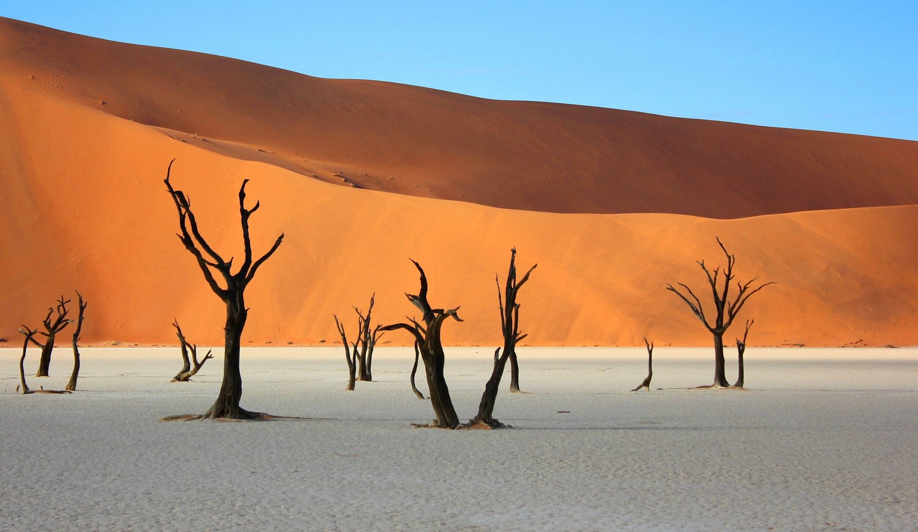 Namibia Deserts and Savannas